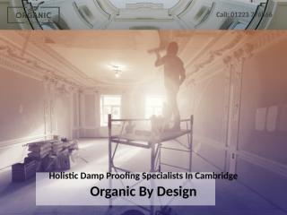 Holistic Damp Proofing Specialists In Cambridge - Organic By Design.pptx