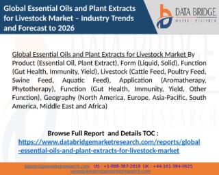 Global Plant Extract Market.pptx