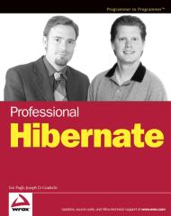 professional hibernate programer.pdf